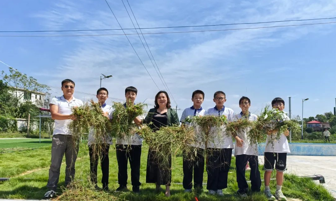 娄底市文正高级中学2025年活动开展 “我们的节日”系列主题活动——劳动教育