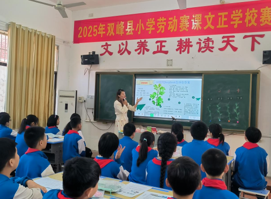 2025年双峰县小学劳动教学比武在文正学校举行